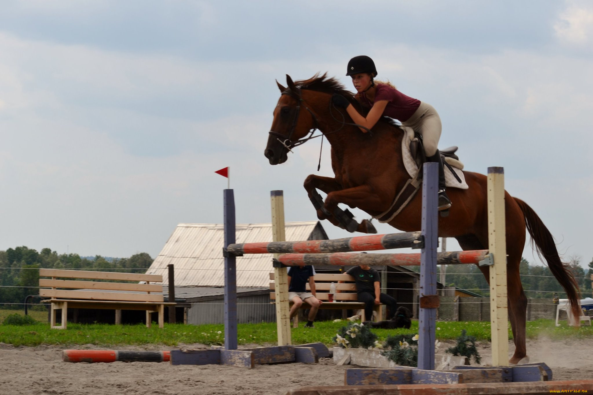 спорт, конный, спорт, прыжок, лошадь