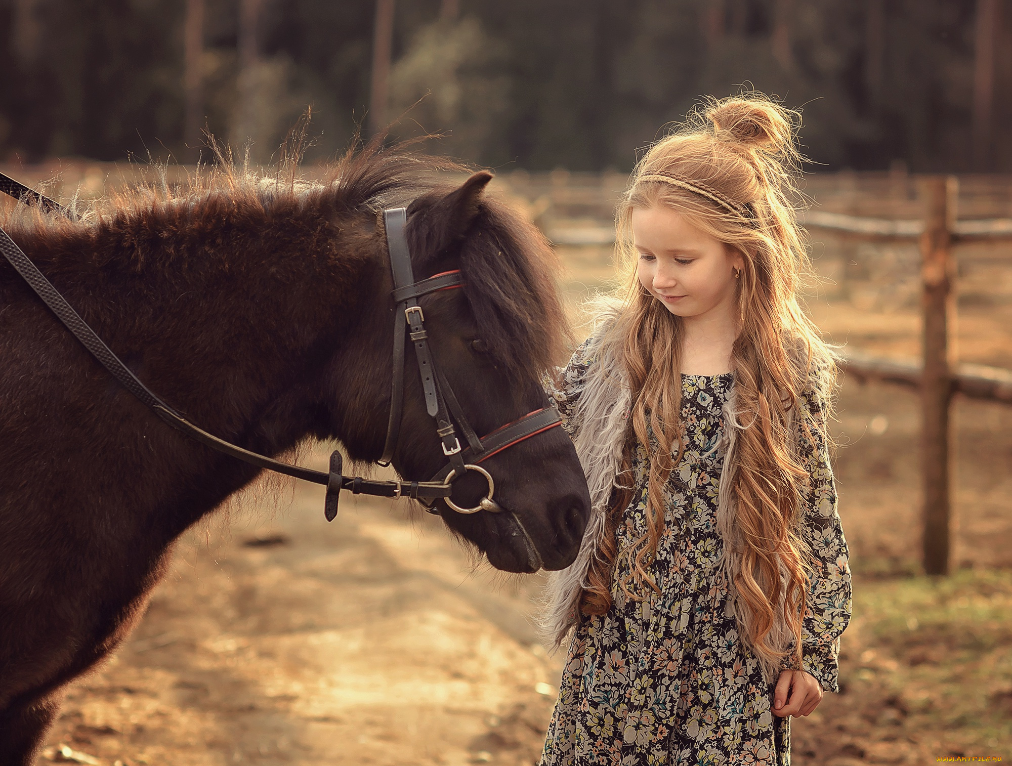 разное, дети, девочка, лошадь