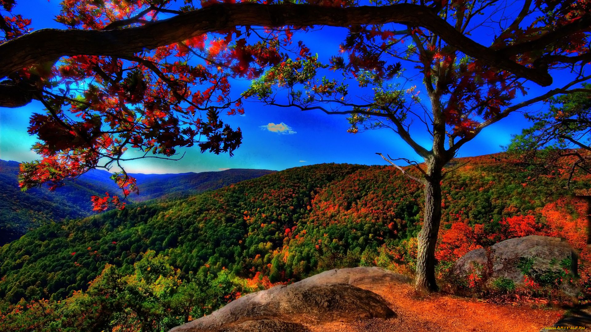 gorgeous, mountains, landscape, hdr, природа, пейзажи, краски, простор, дерево, горы, осень