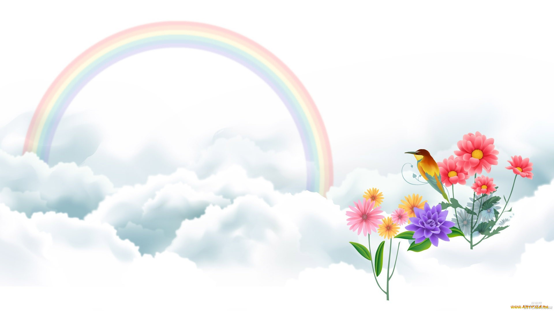 векторная, графика, цветы, , flowers, облака, радуга, цветы, птица