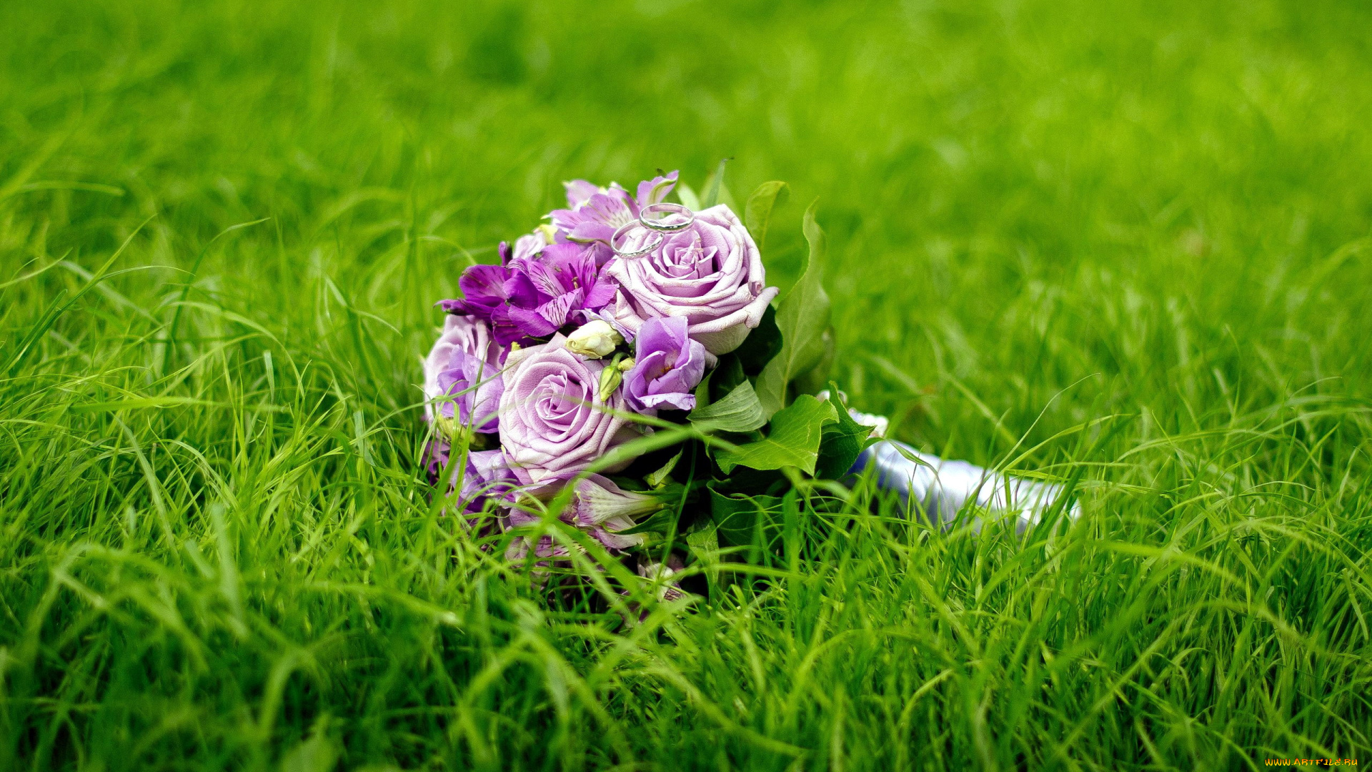 цветы, букеты, , композиции, трава, букет, свадебный, кольца