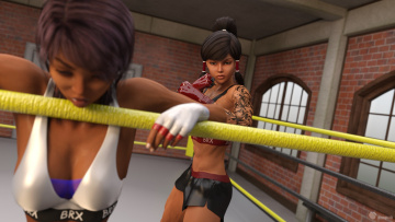 Картинка 3д+графика спорт+ sport фон взгляд девушки борьба ринг