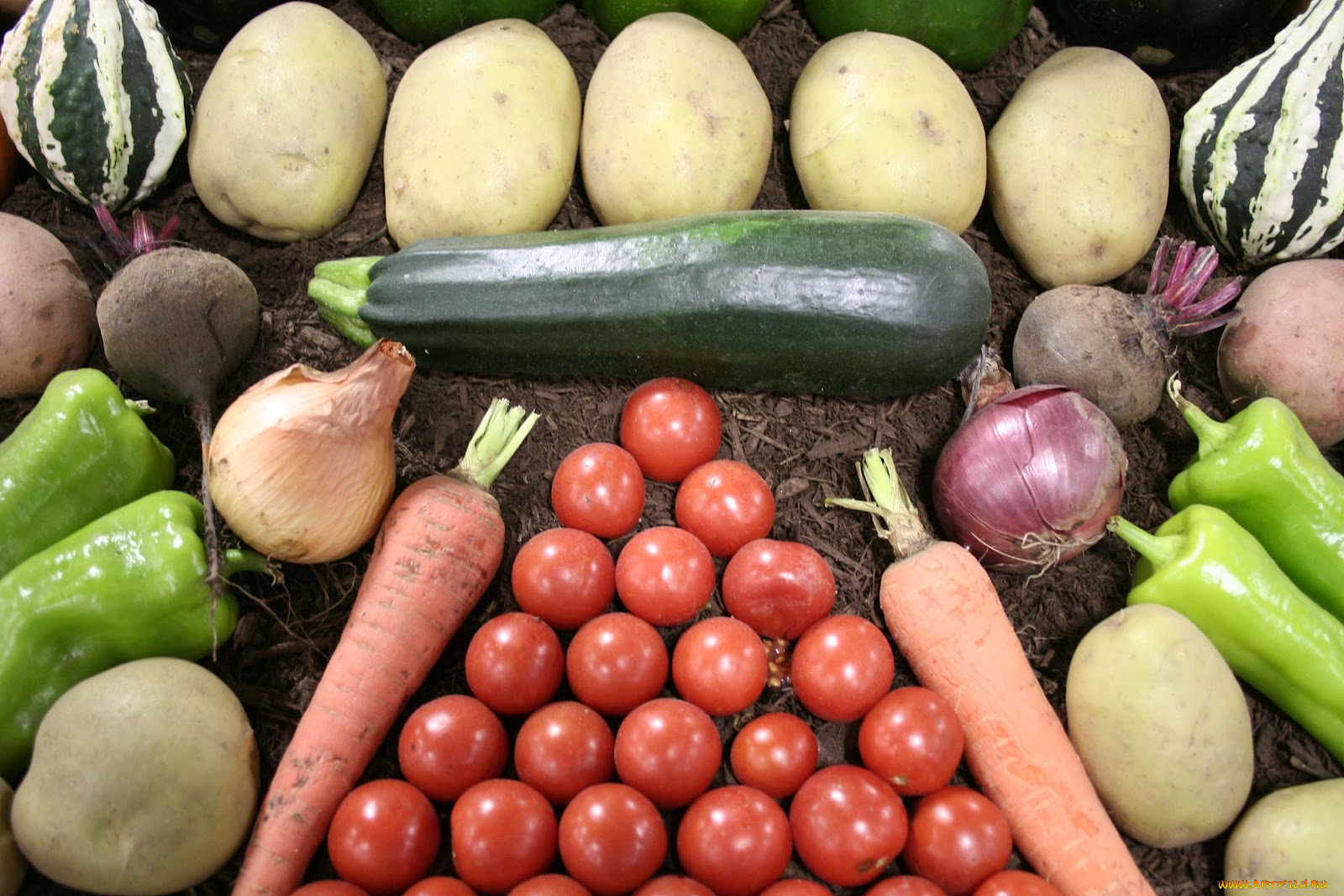 еда, овощи, помидоры, перец, лук, картошка