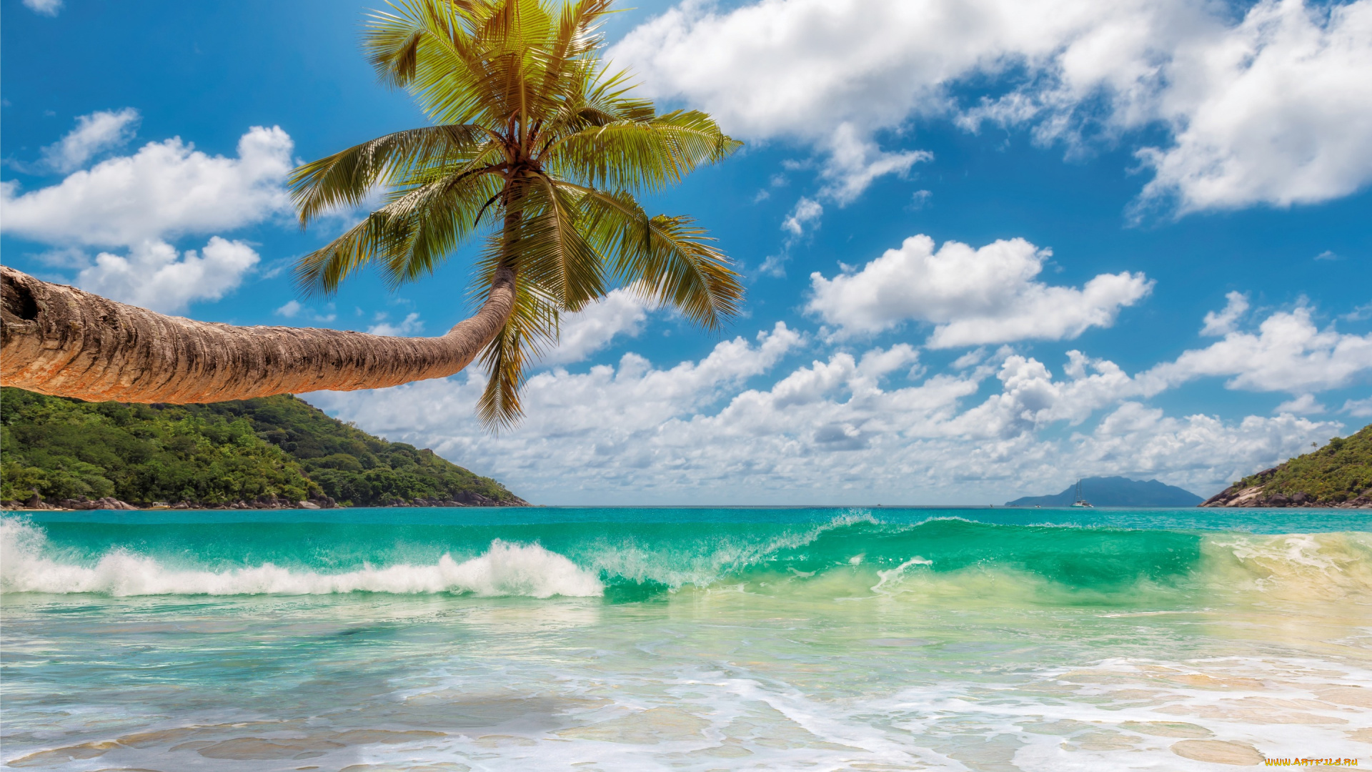 природа, тропики, beach, sand, summer, tropical, island, берег, пляж, palms, sea, солнце, песок, море, пальмы, paradise