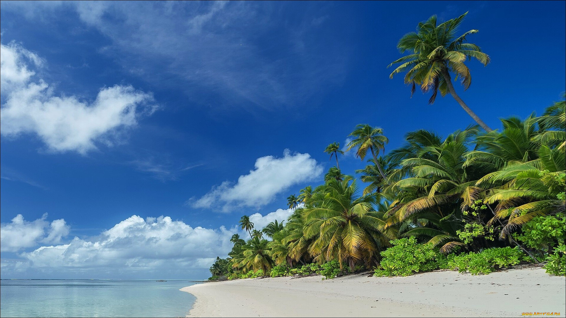 seychelles, beach, природа, тропики, seychelles, beach