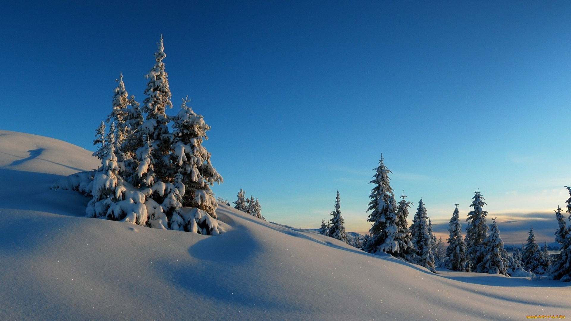 природа, зима, ель, деревья, холмы, снег, горизонт, мороз, закат, небо