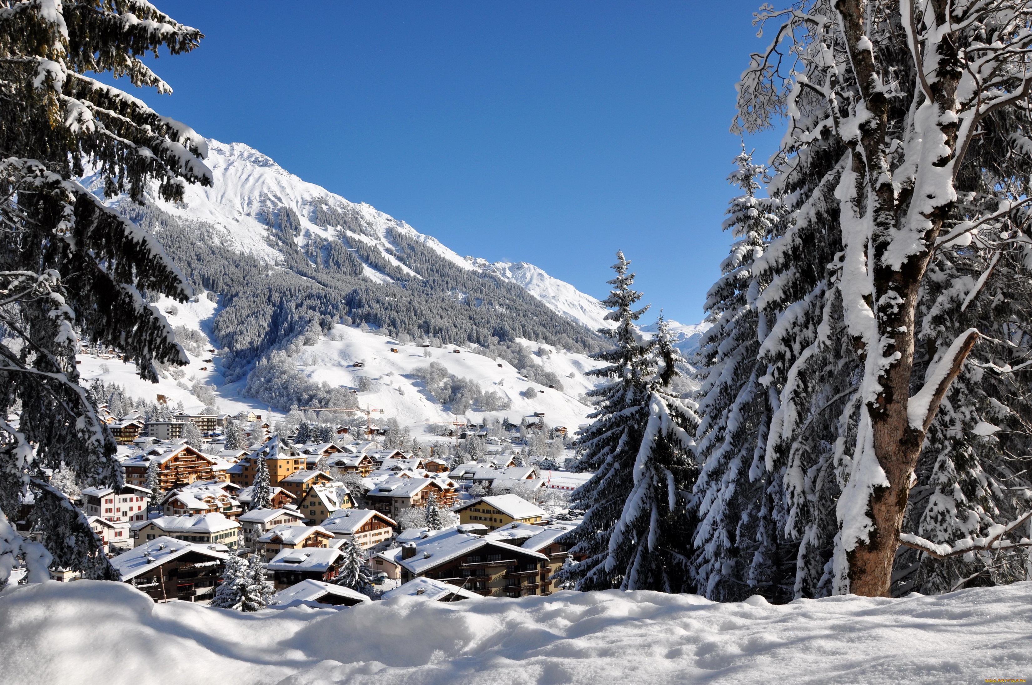 клостерс, швейцария, природа, зима, швейцария, клостерс, деревья, домики, снег, горы