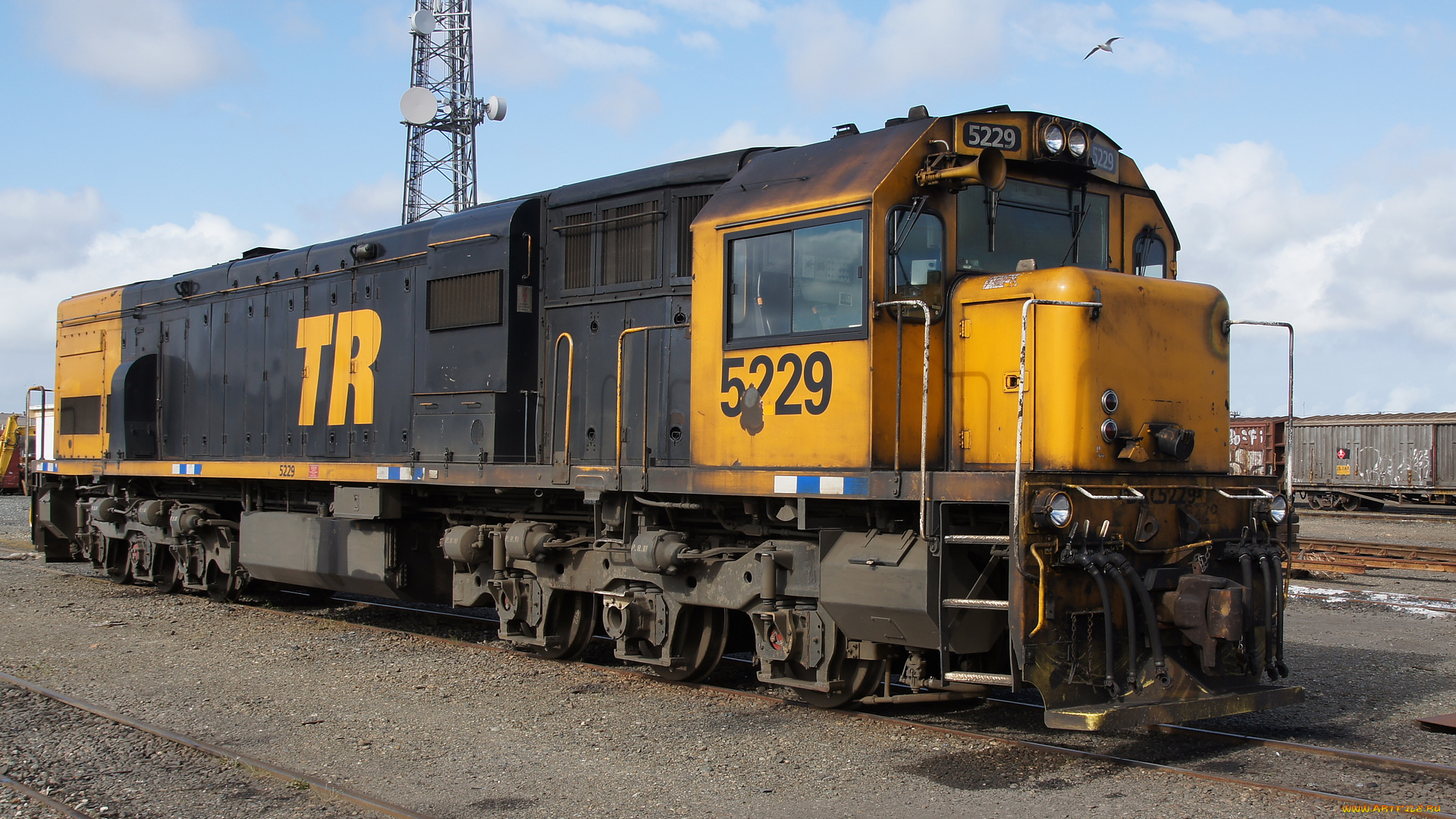 kiwirail, dxc, 5229, locomotive, техника, локомотивы, рельсы, дорога, железная, локомотив