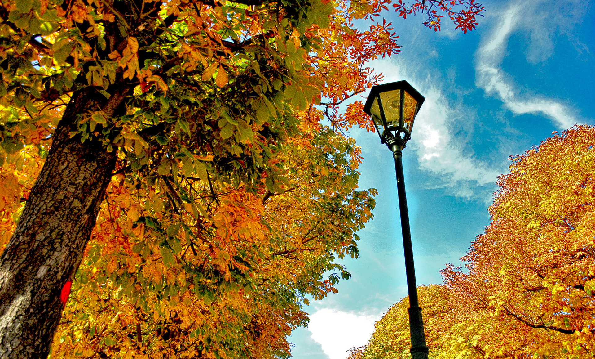 природа, парк, фонарь, осень