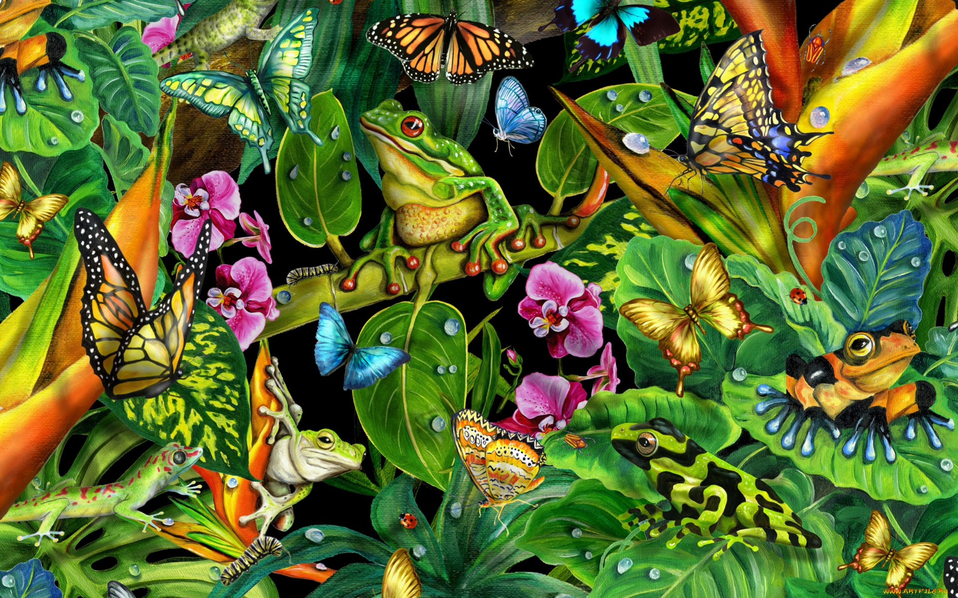 рисованное, животные, растение, лягушки, бабочки