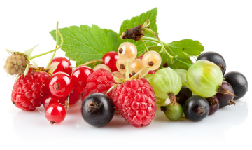 Картинка еда фрукты ягоды малина белая смородина красная крыжовник чёрная