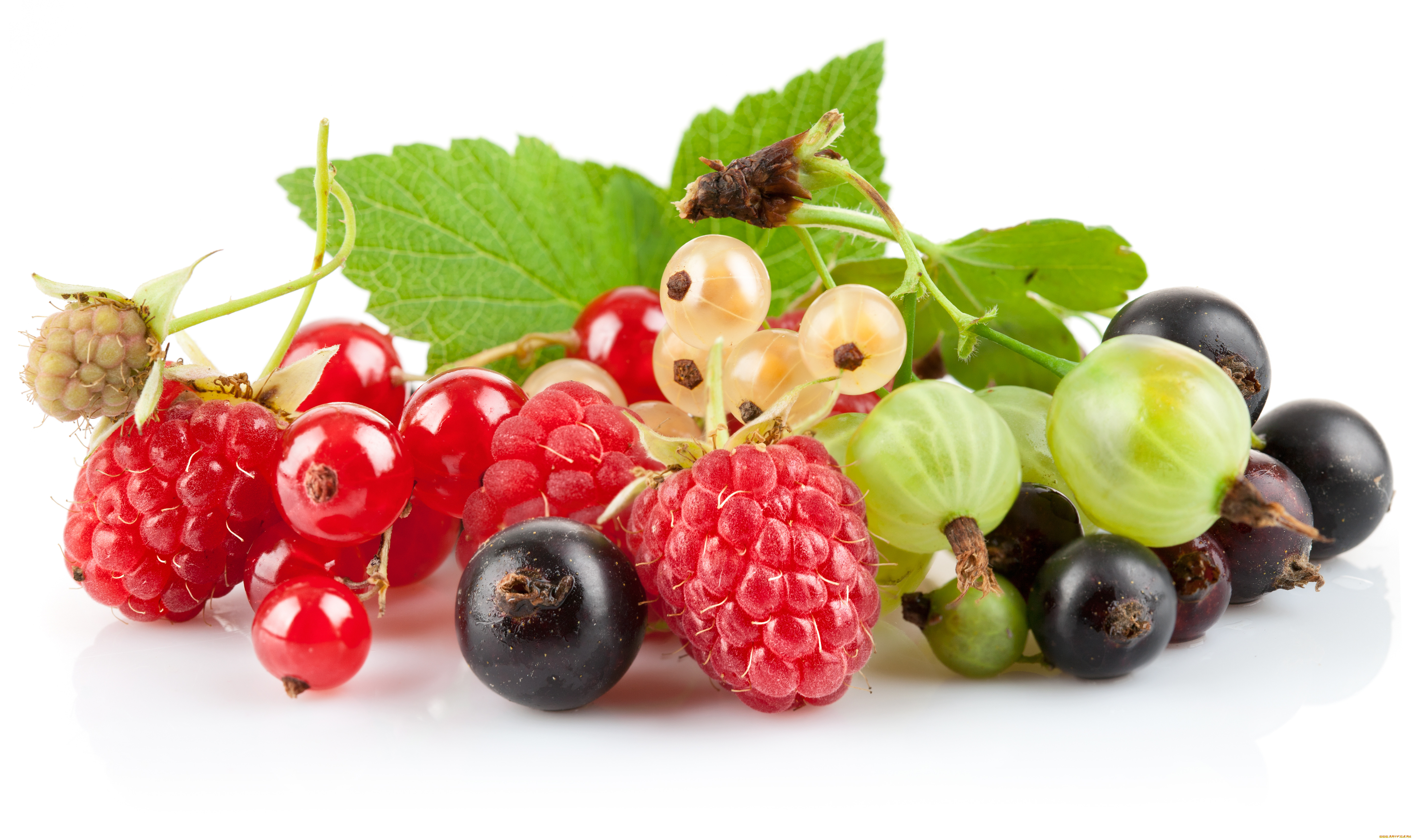 еда, фрукты, ягоды, малина, белая, смородина, красная, крыжовник, чёрная