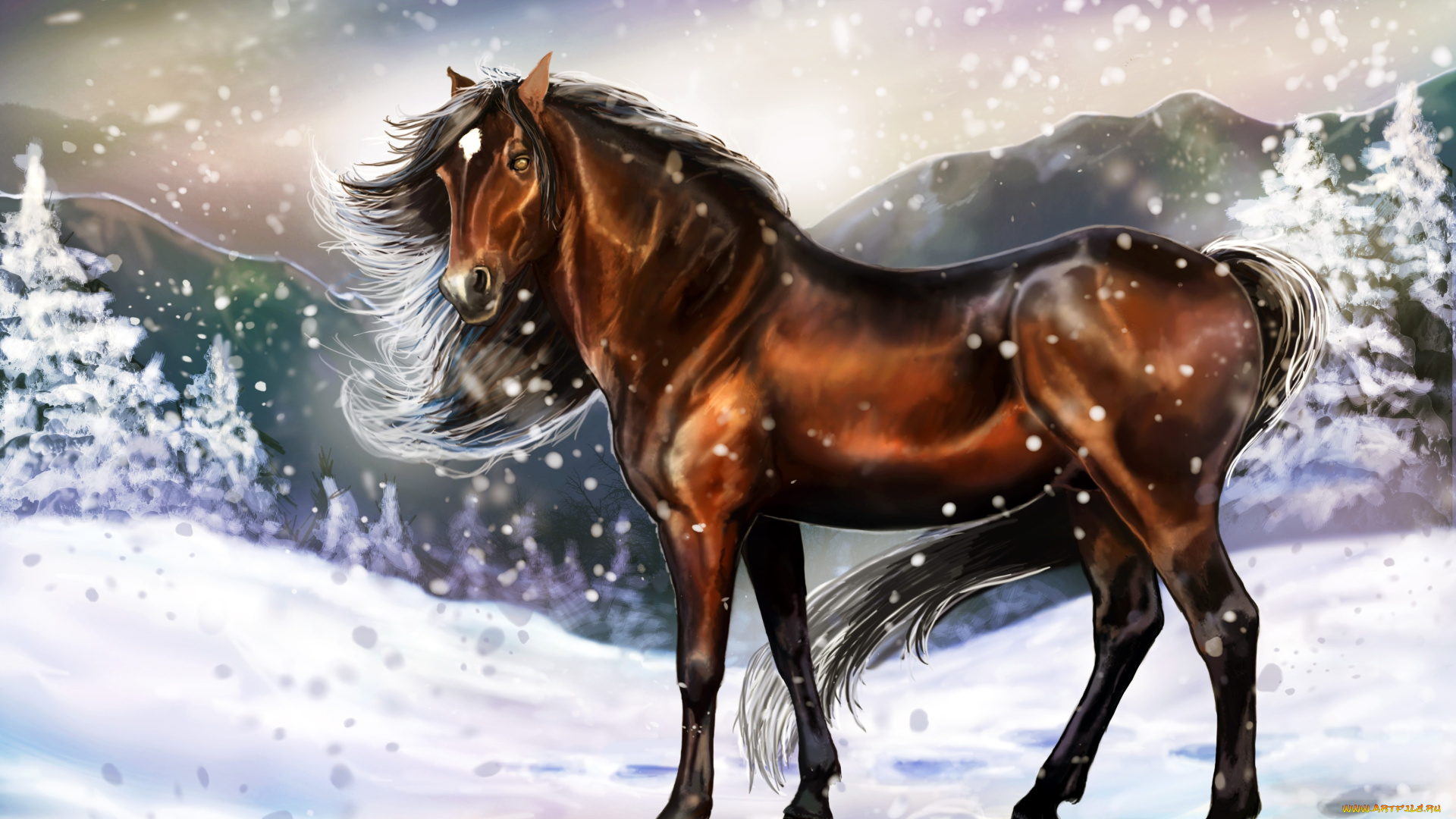 рисованные, животные, лошади, следы, снег, холод, зима, взгляд, лошадь, грива