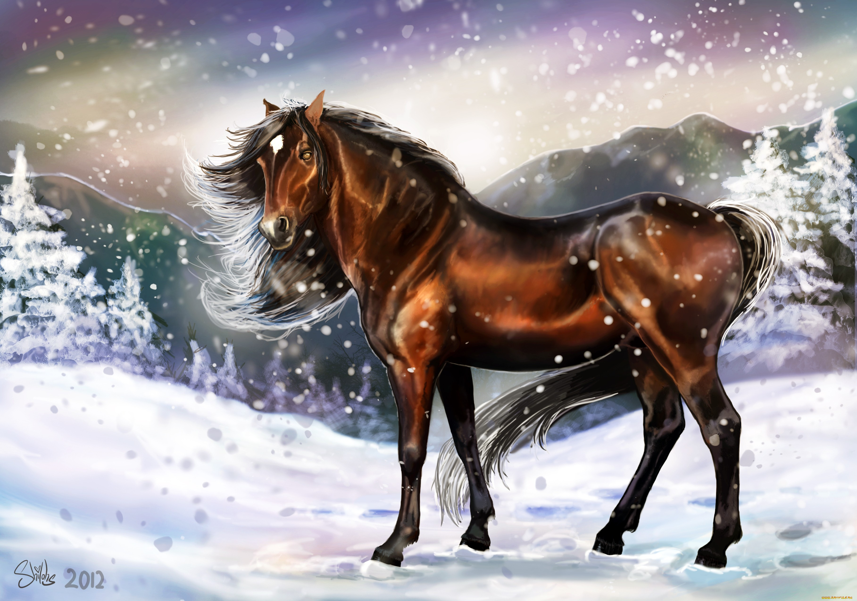 рисованные, животные, лошади, следы, снег, холод, зима, взгляд, лошадь, грива