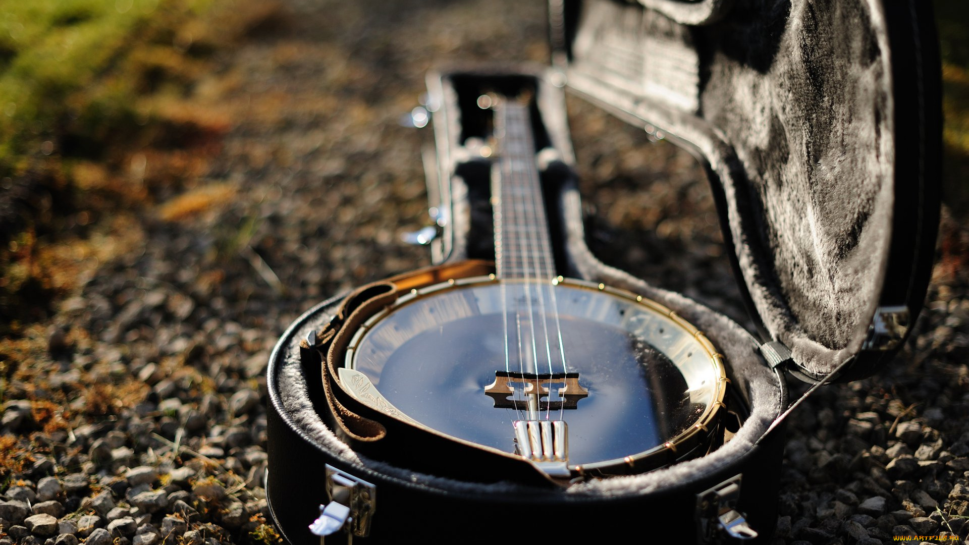 музыка, -музыкальные, инструменты, футляр, банджо
