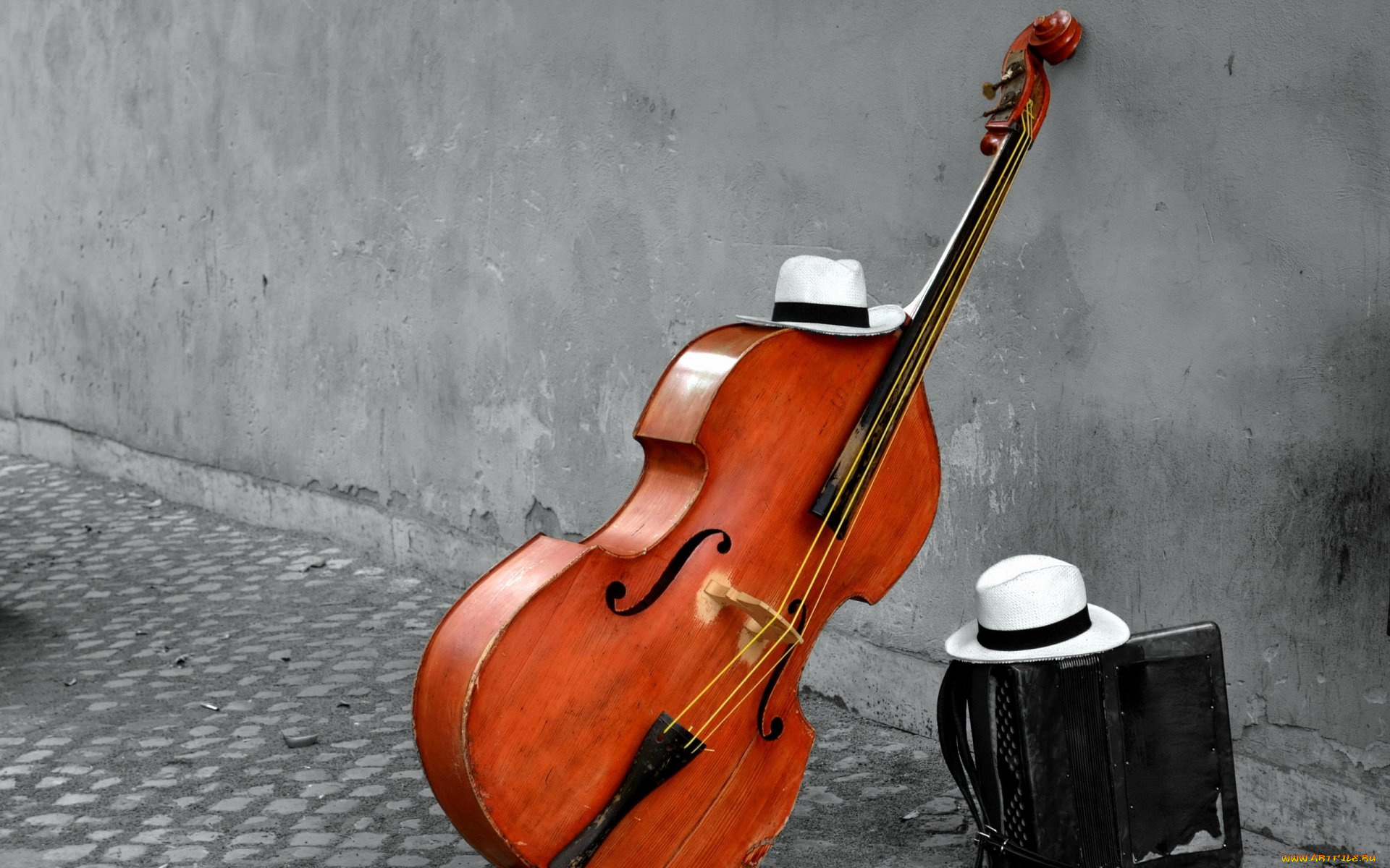 музыка, -музыкальные, инструменты, баян, шляпа, виолончель