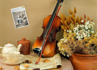 Картинка музыка музыкальные инструменты угощение букет скрипка