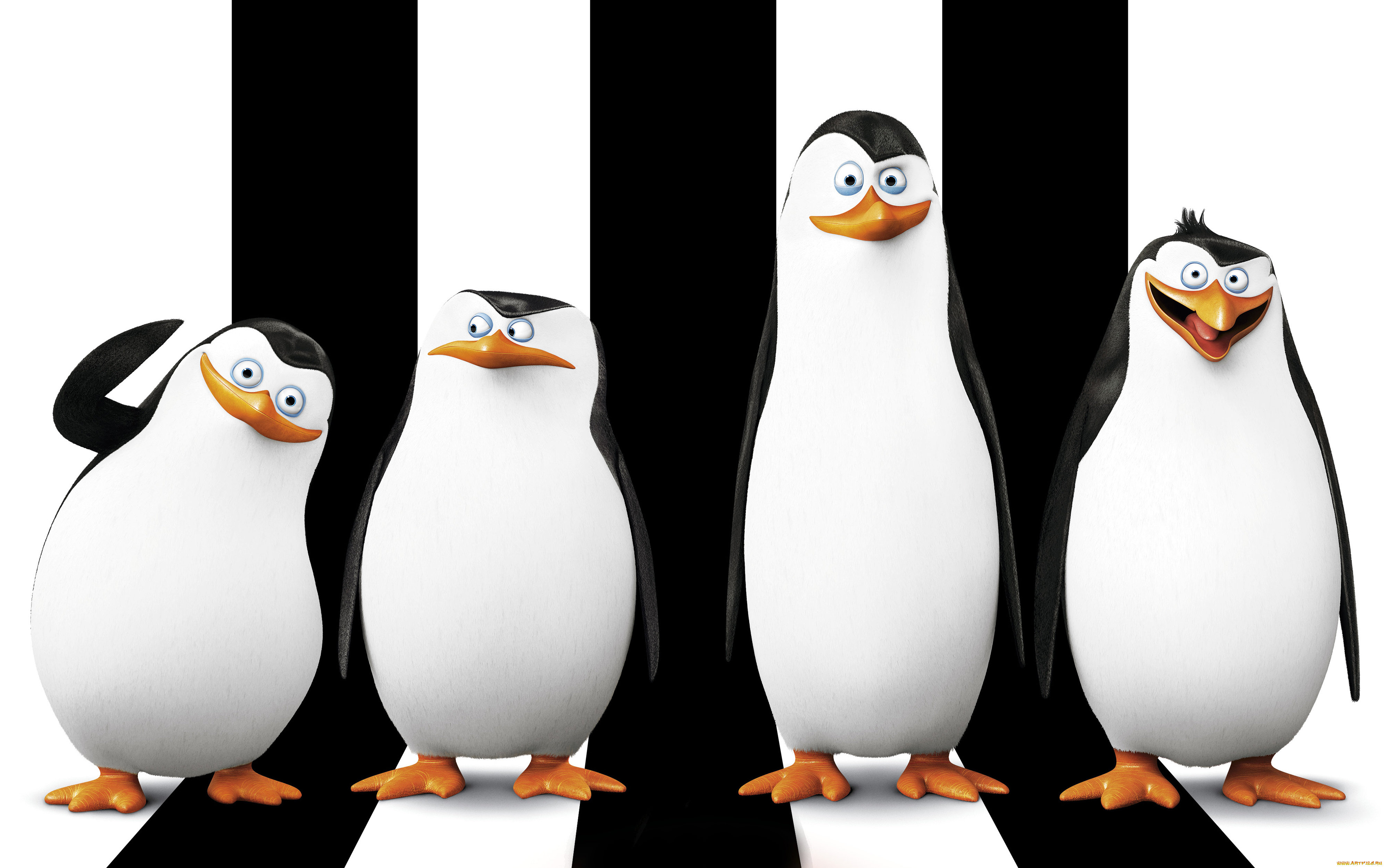 the, penguins, of, madagascar, мультфильмы, пингвины, мадагаскара