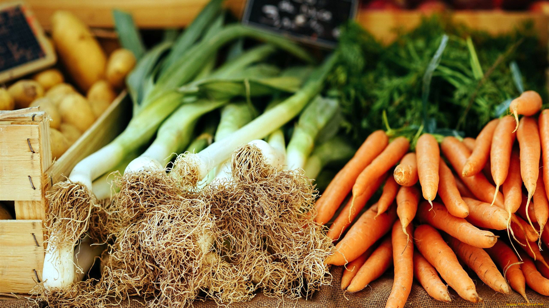 еда, овощи, лук, морковь