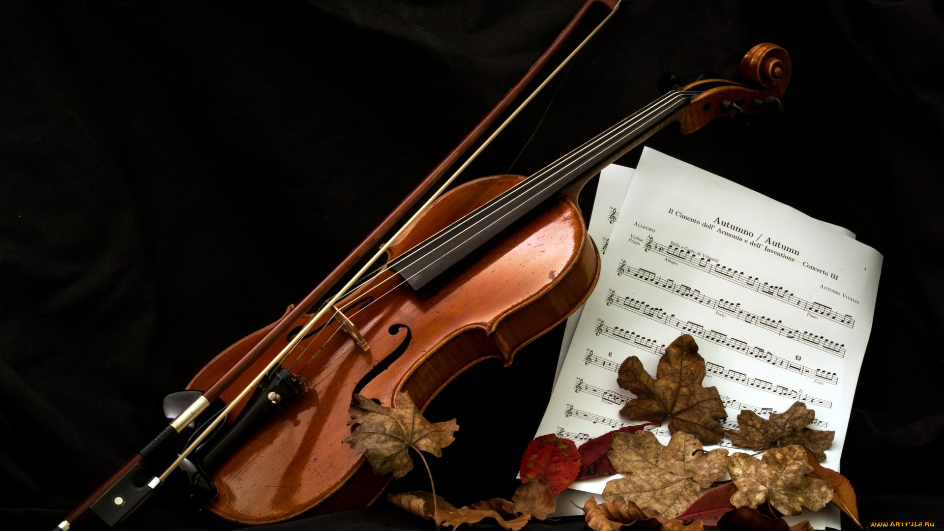 музыка, -музыкальные, инструменты, листья, ноты, скрипка
