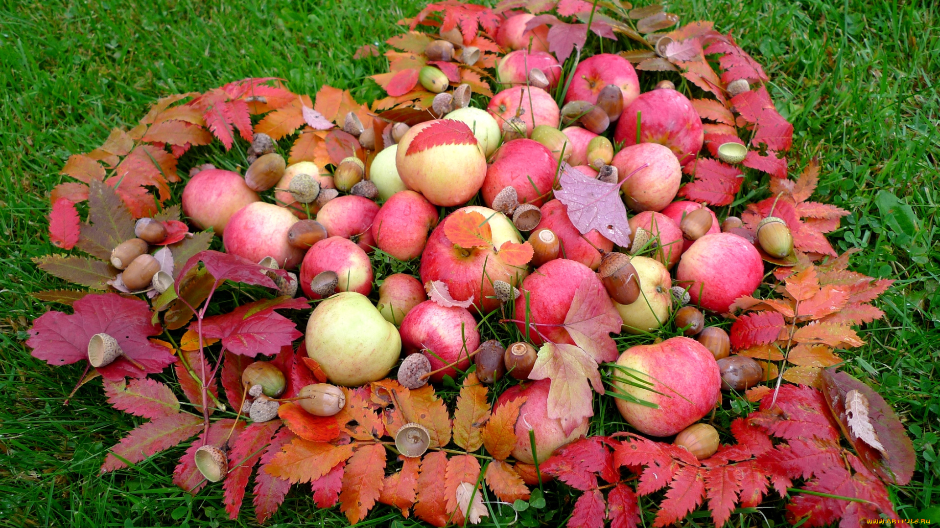 еда, Яблоки, листья, сердце