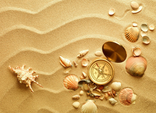 Картинка разное ракушки +кораллы +декоративные+и+spa-камни песок компас