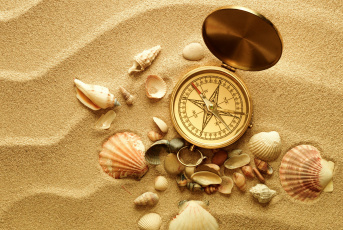 Картинка разное ракушки +кораллы +декоративные+и+spa-камни компас песок