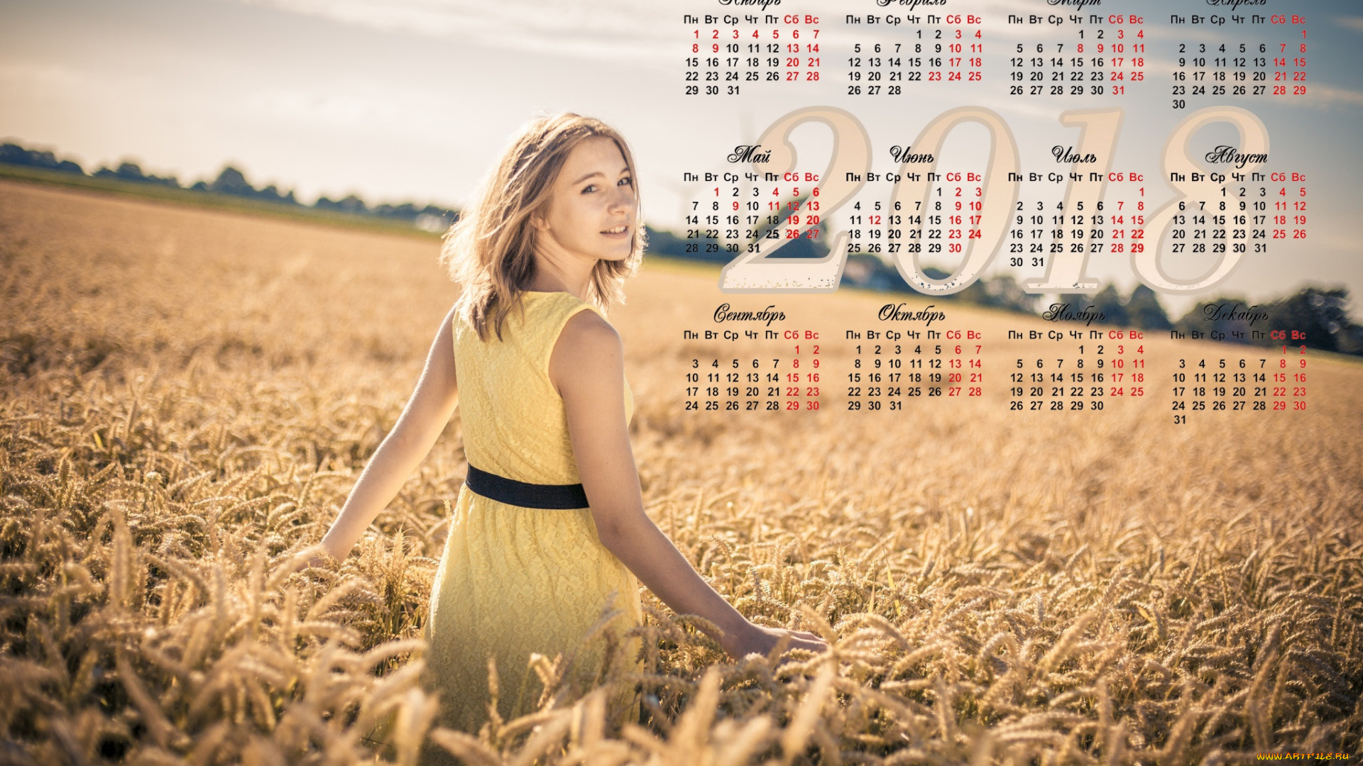 календари, девушки, поле, злаки