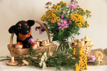 Картинка еда натюрморт цветы собака игрушка грибы букет