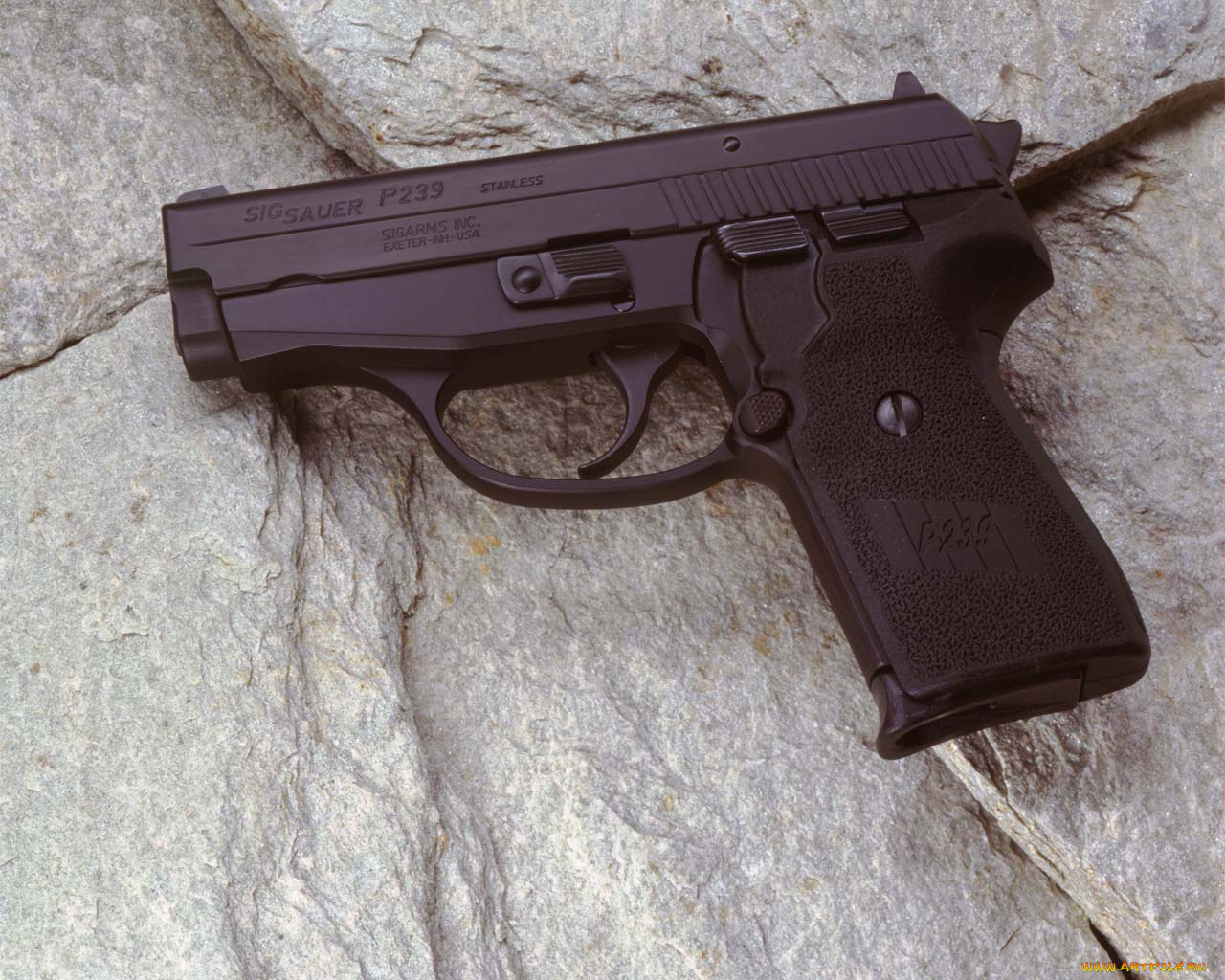 sig, sauer, p239, оружие, пистолеты