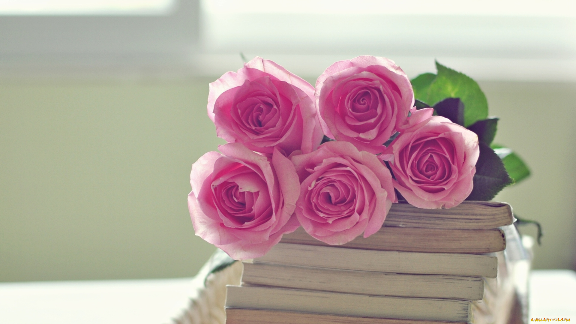 цветы, розы, розовый, букет, книги