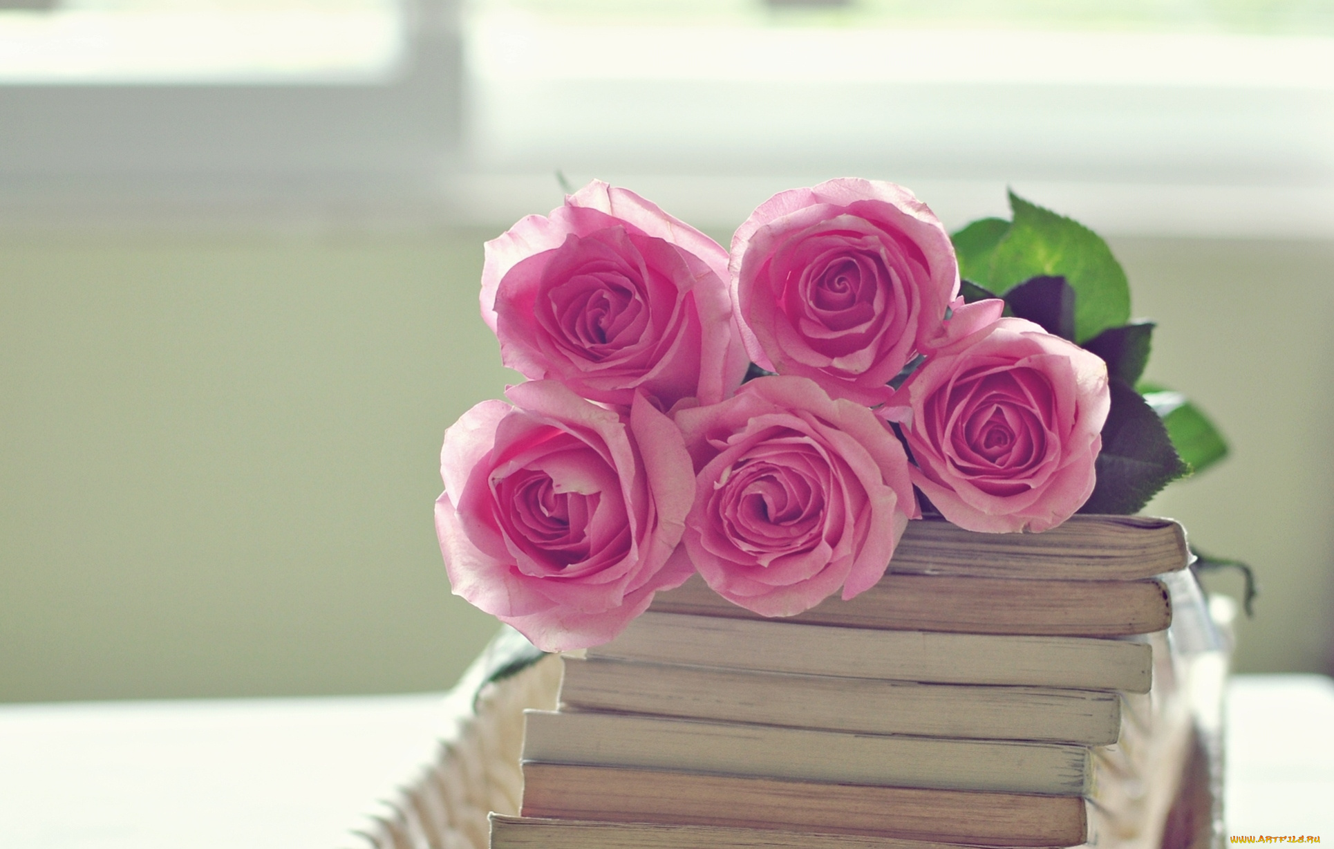 цветы, розы, розовый, букет, книги