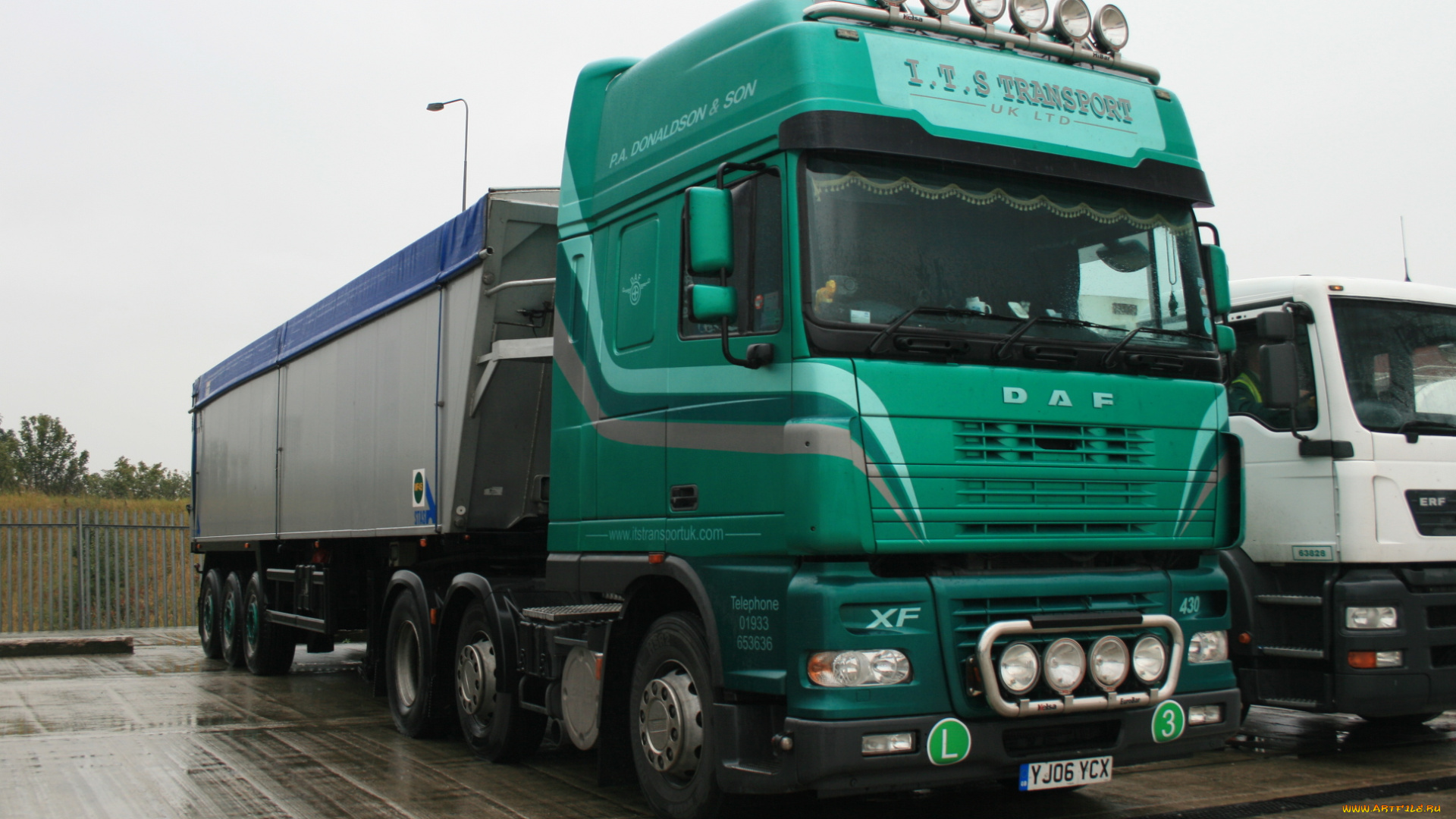 daf, автомобили, седельные, тягачи, шасси, автобусы, нидерланды, trucks, nv