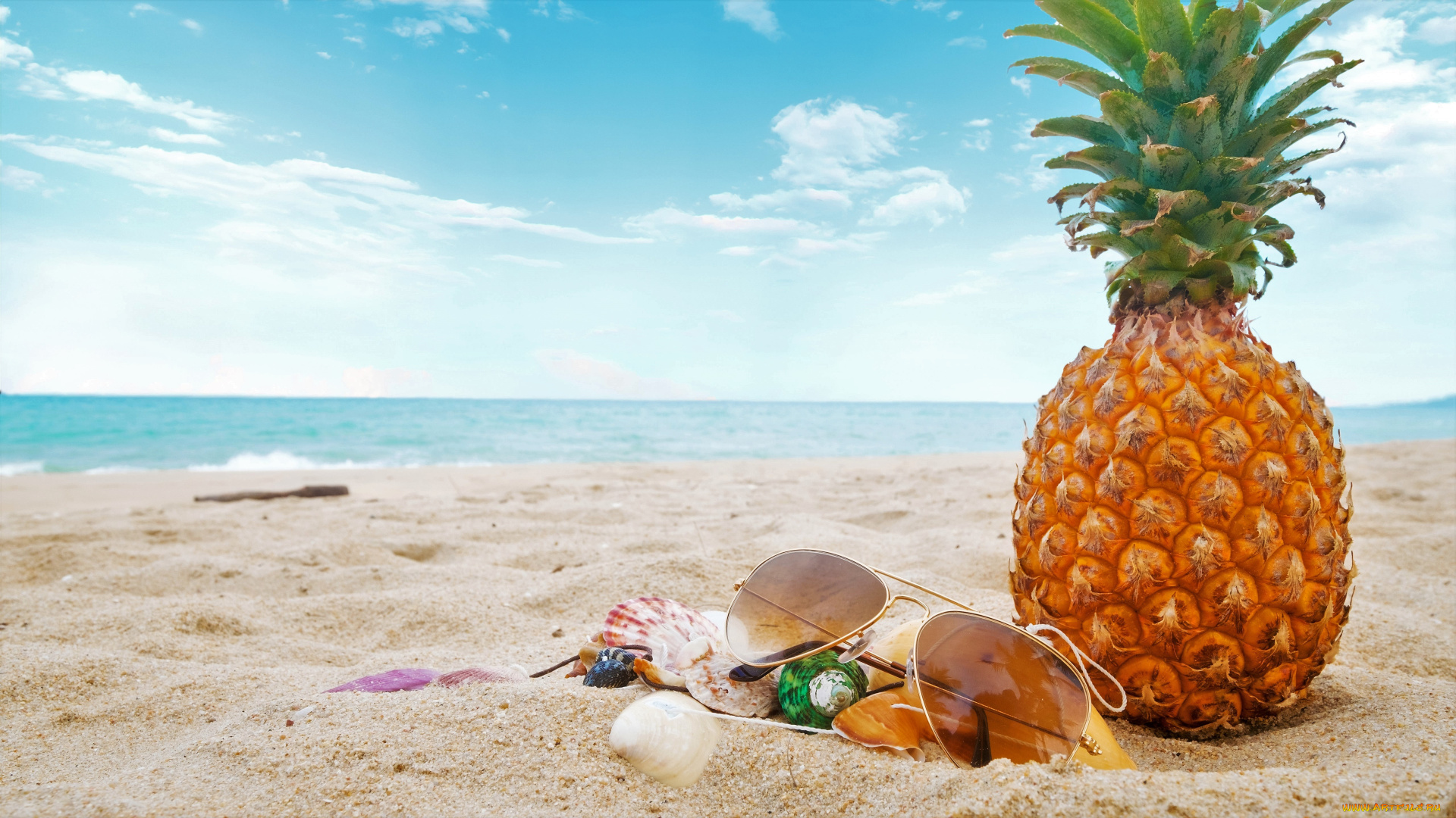 еда, ананас, ракушки, очки, небо, море, пляж, песок