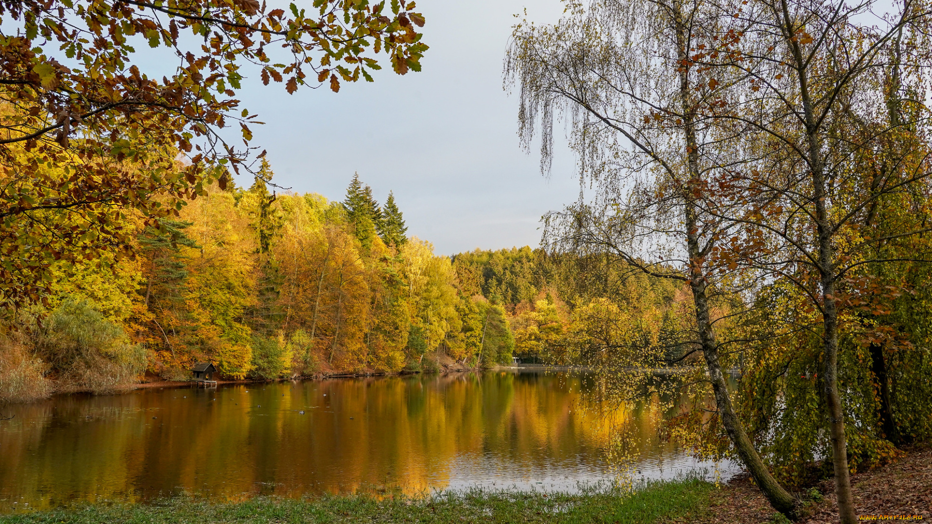 природа, реки, озера, простор