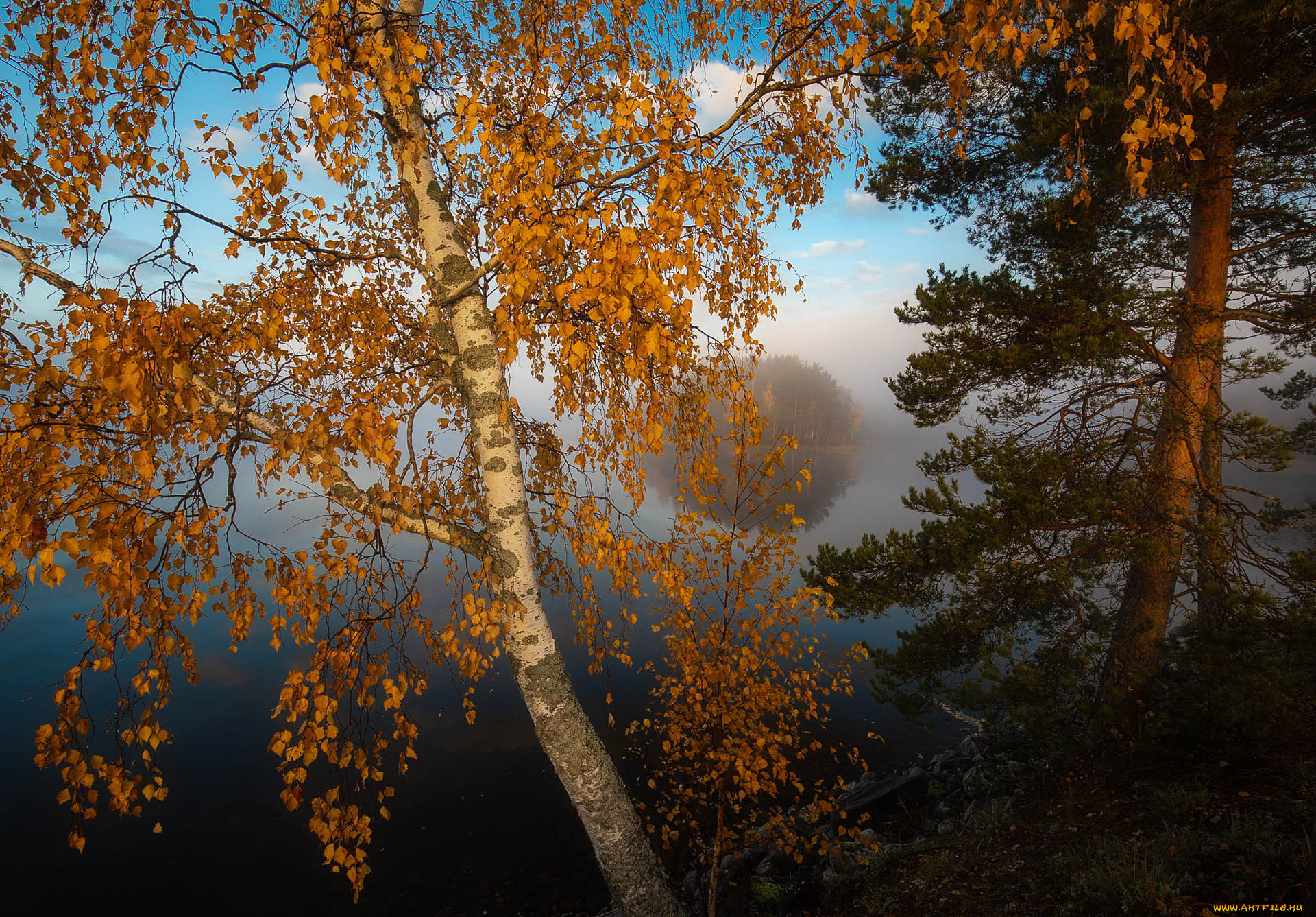 природа, пейзажи, простор