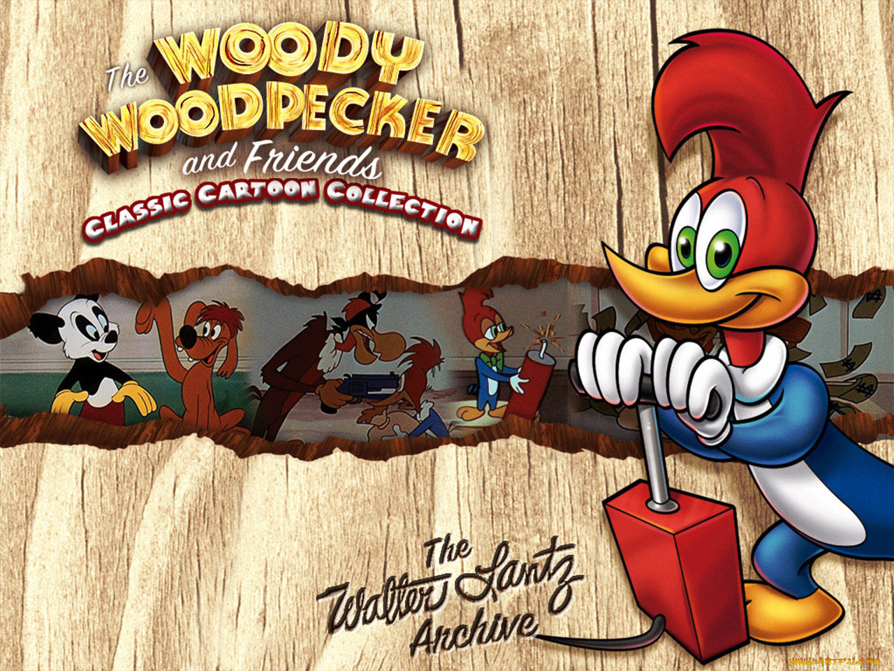 woody, woodpecker, мультфильмы