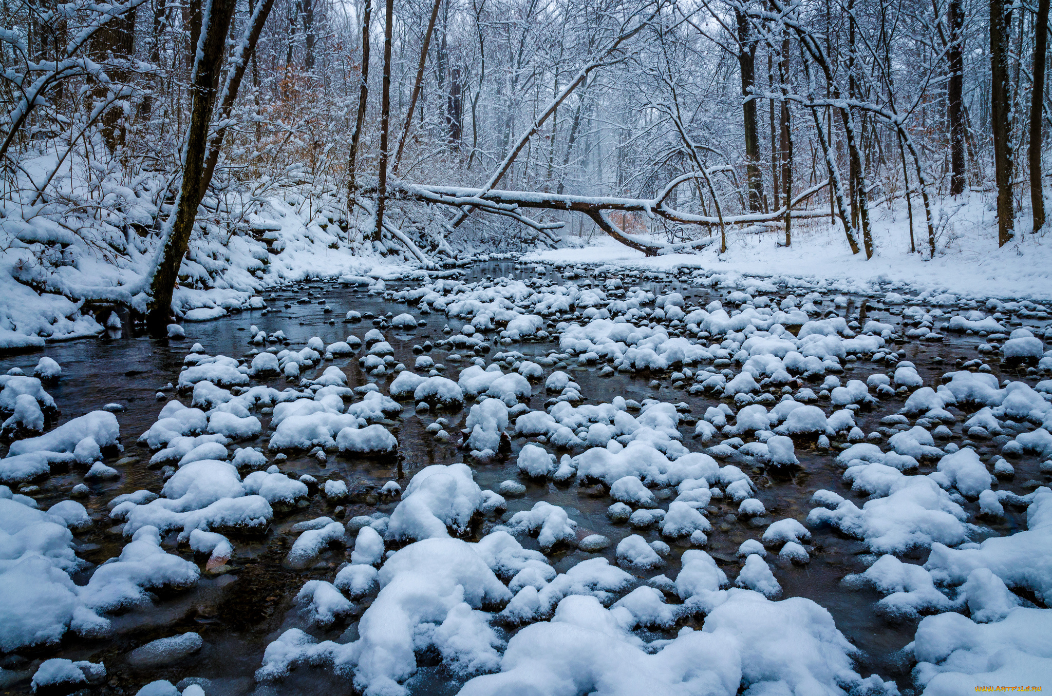 winton, woods, , cincinnati, , ohio, природа, зима, лес, река, снег, winton, woods, огайо, cincinnati, ohio, деревья