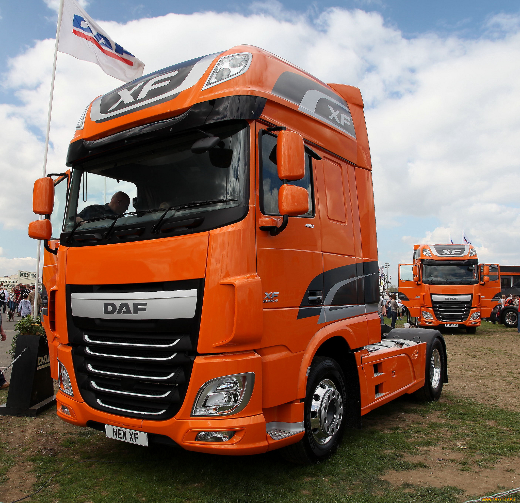 daf, автомобили, седельные, тягачи, trucks, nv, нидерланды, автобусы, шасси