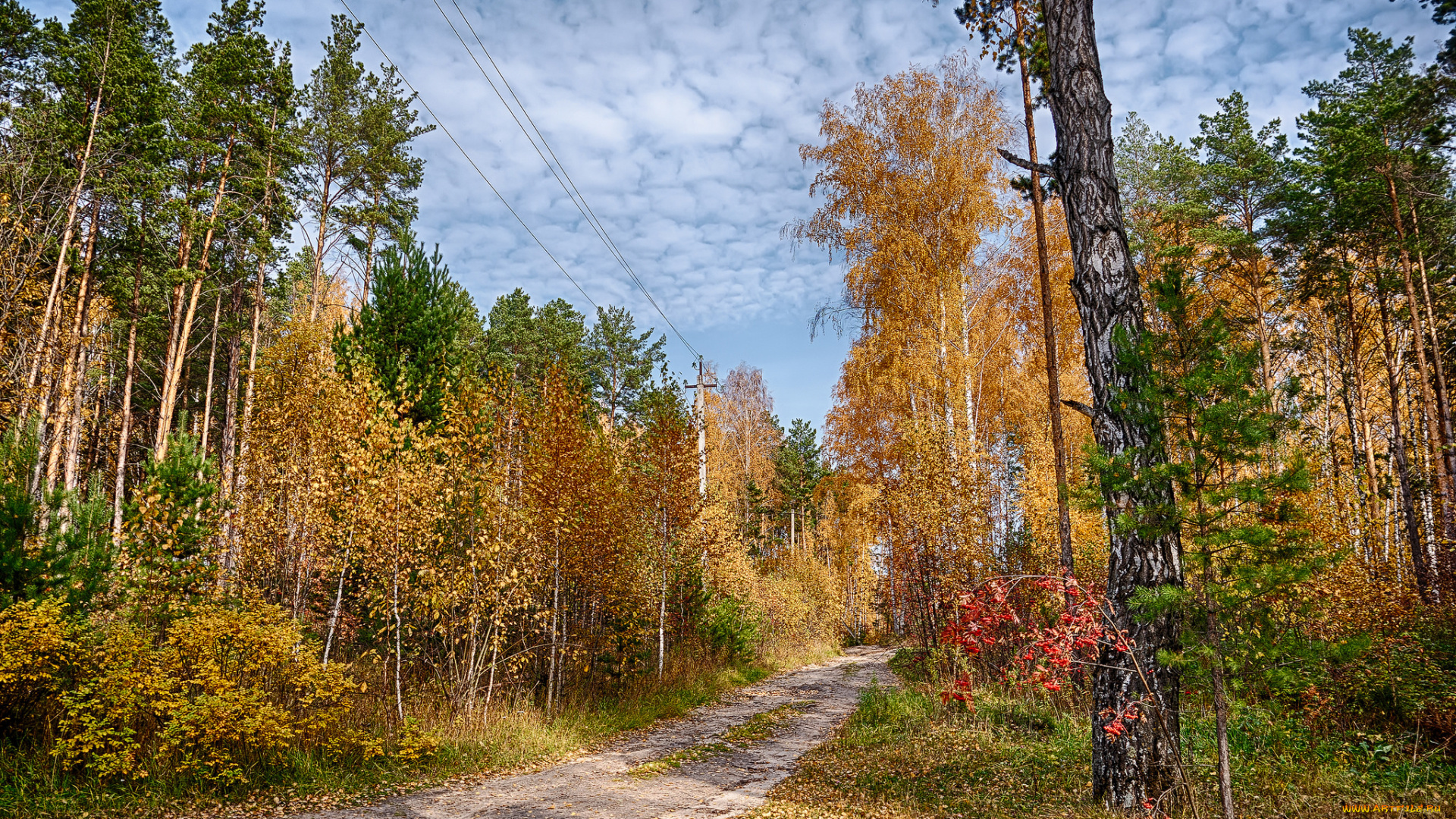 природа, дороги, тракт