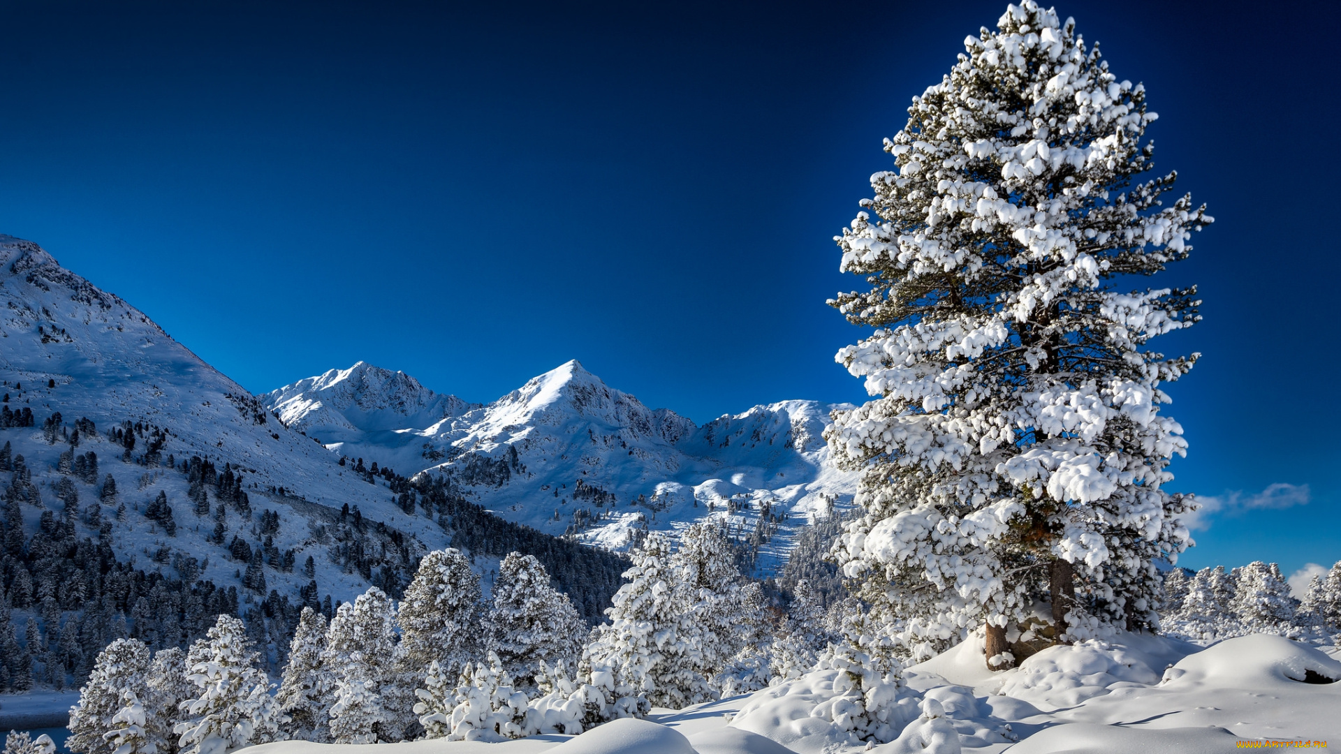 природа, горы, снег
