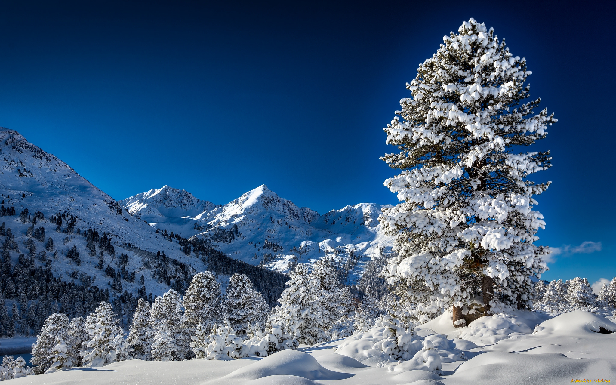 природа, горы, снег