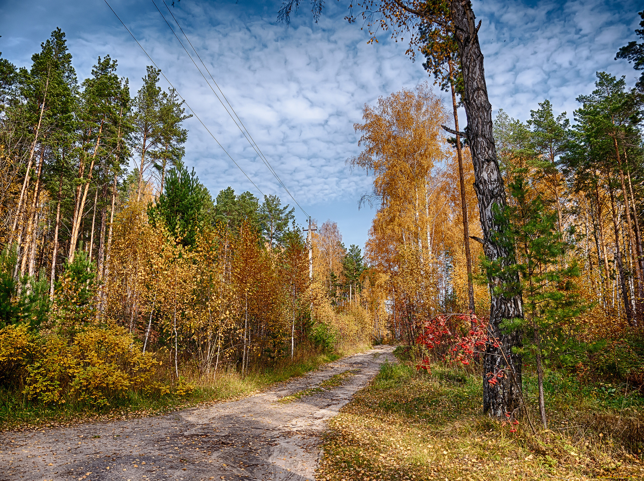 природа, дороги, тракт