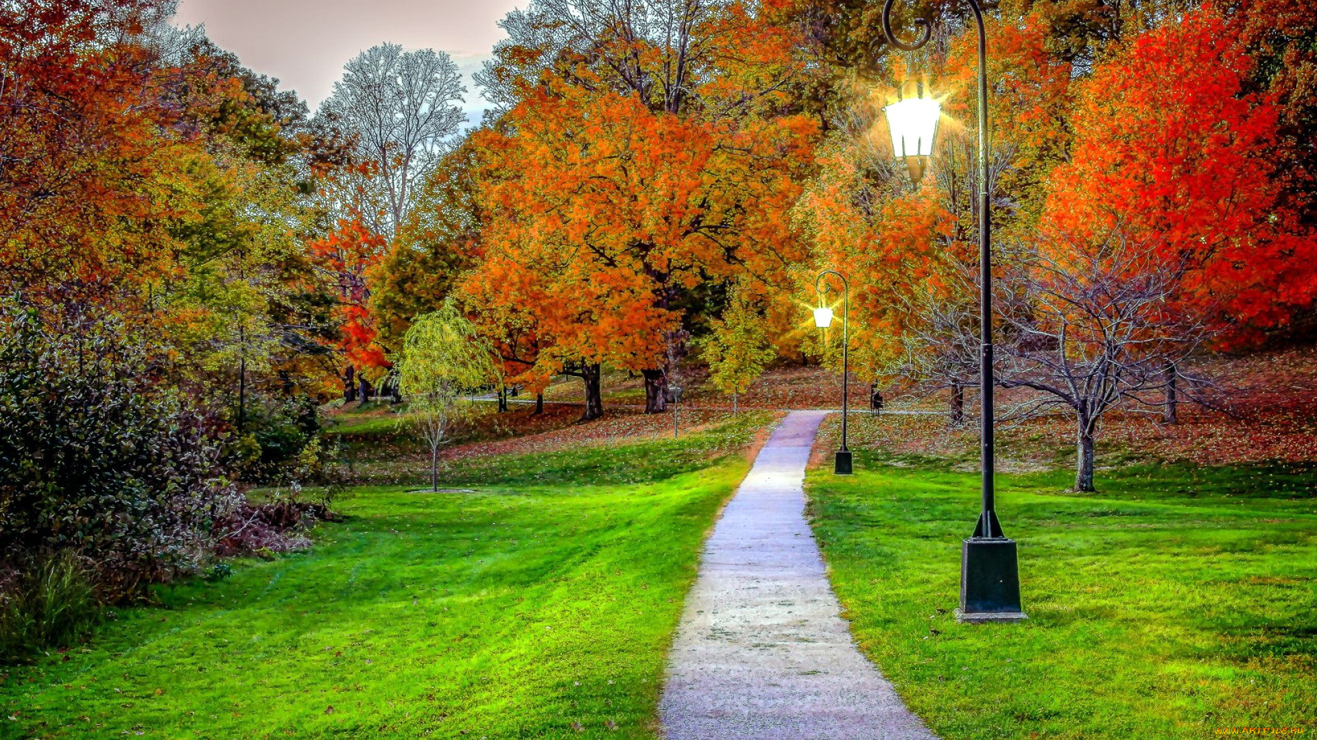 природа, парк, осень, аллея, фонари