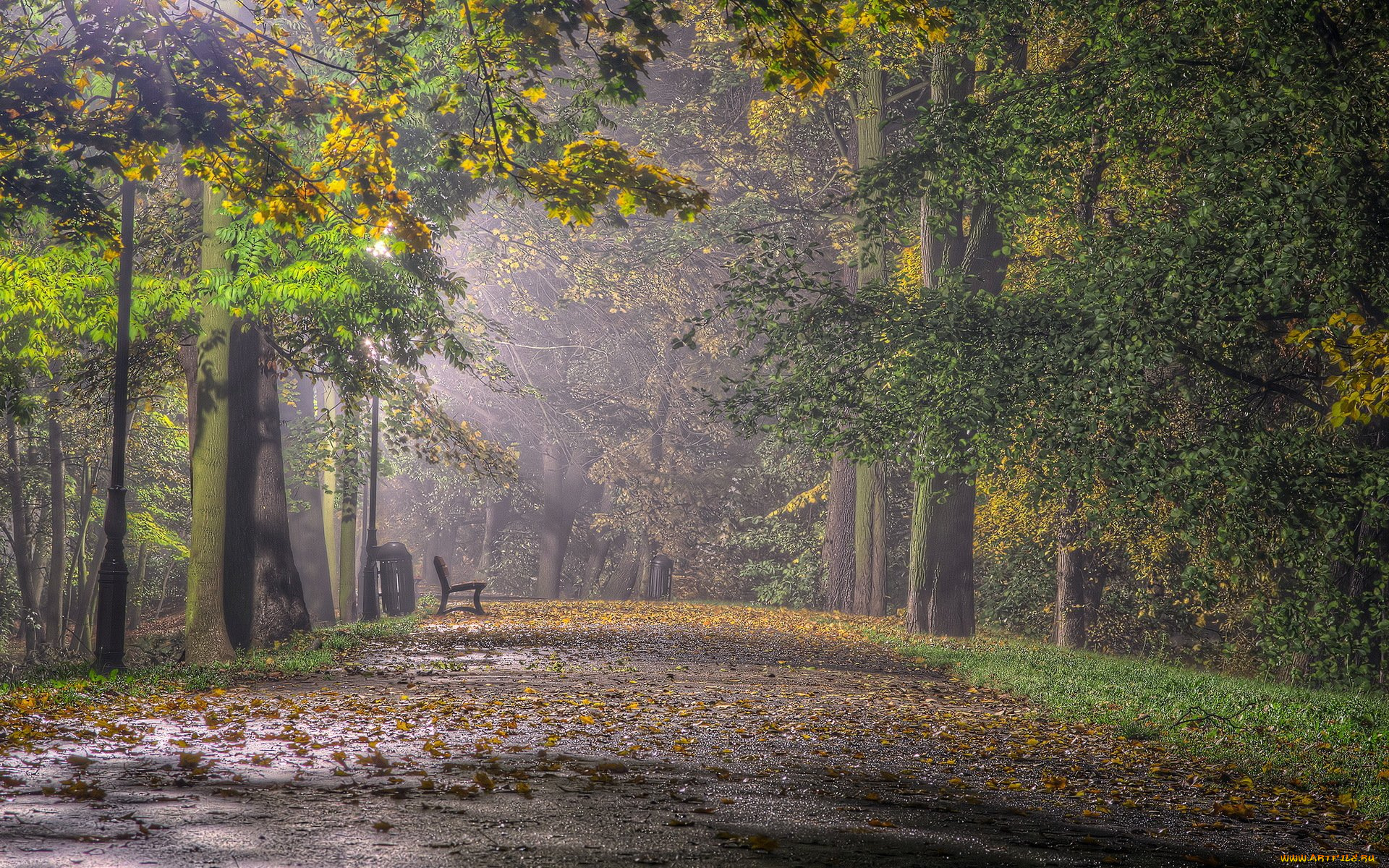 природа, парк, скамейка, листопад, аллея, осень