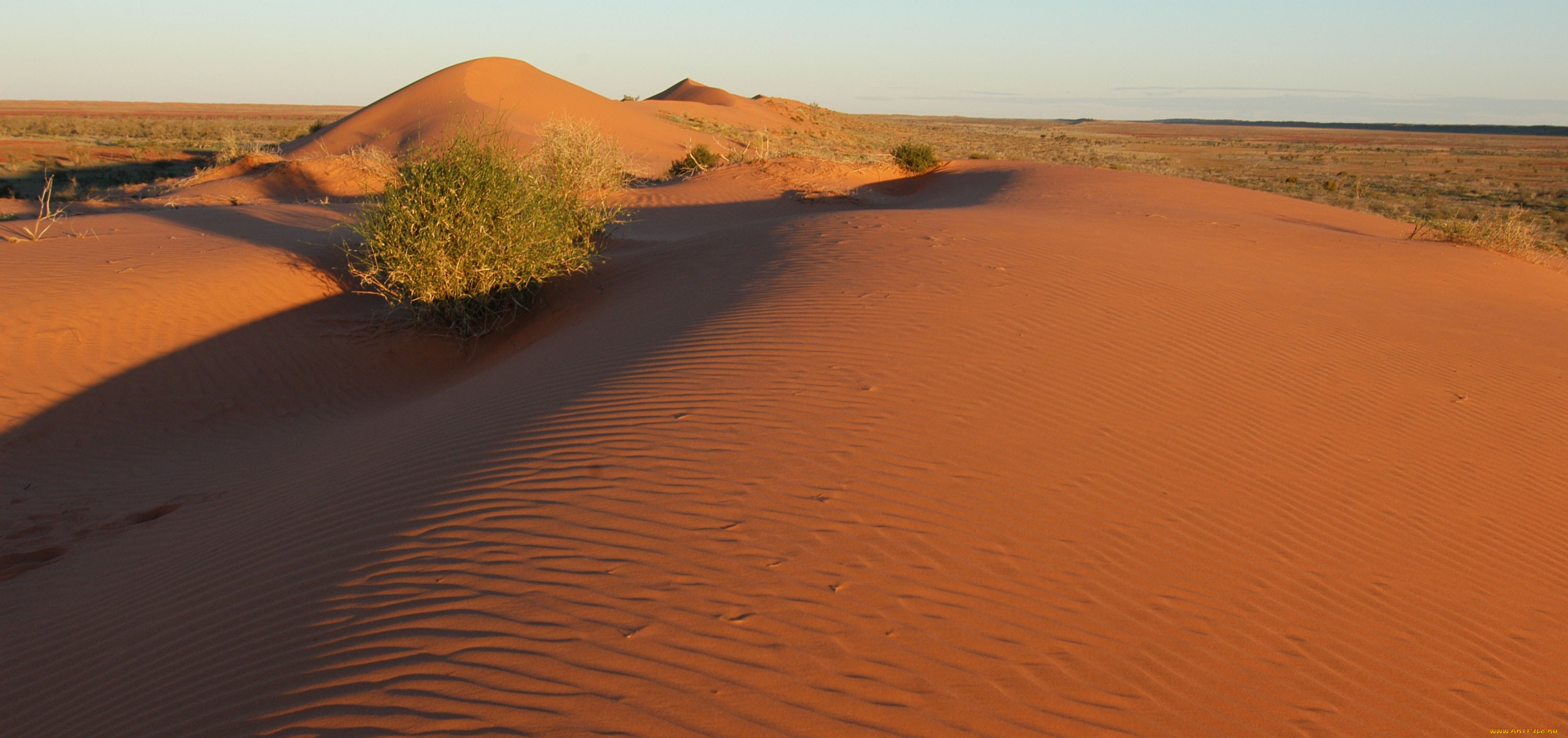 природа, пустыни, пустыня, барханы, песок
