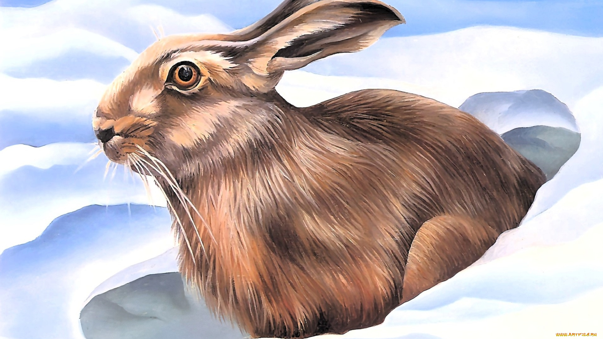 рисованное, животные, , зайцы, , кролики, заяц, снег