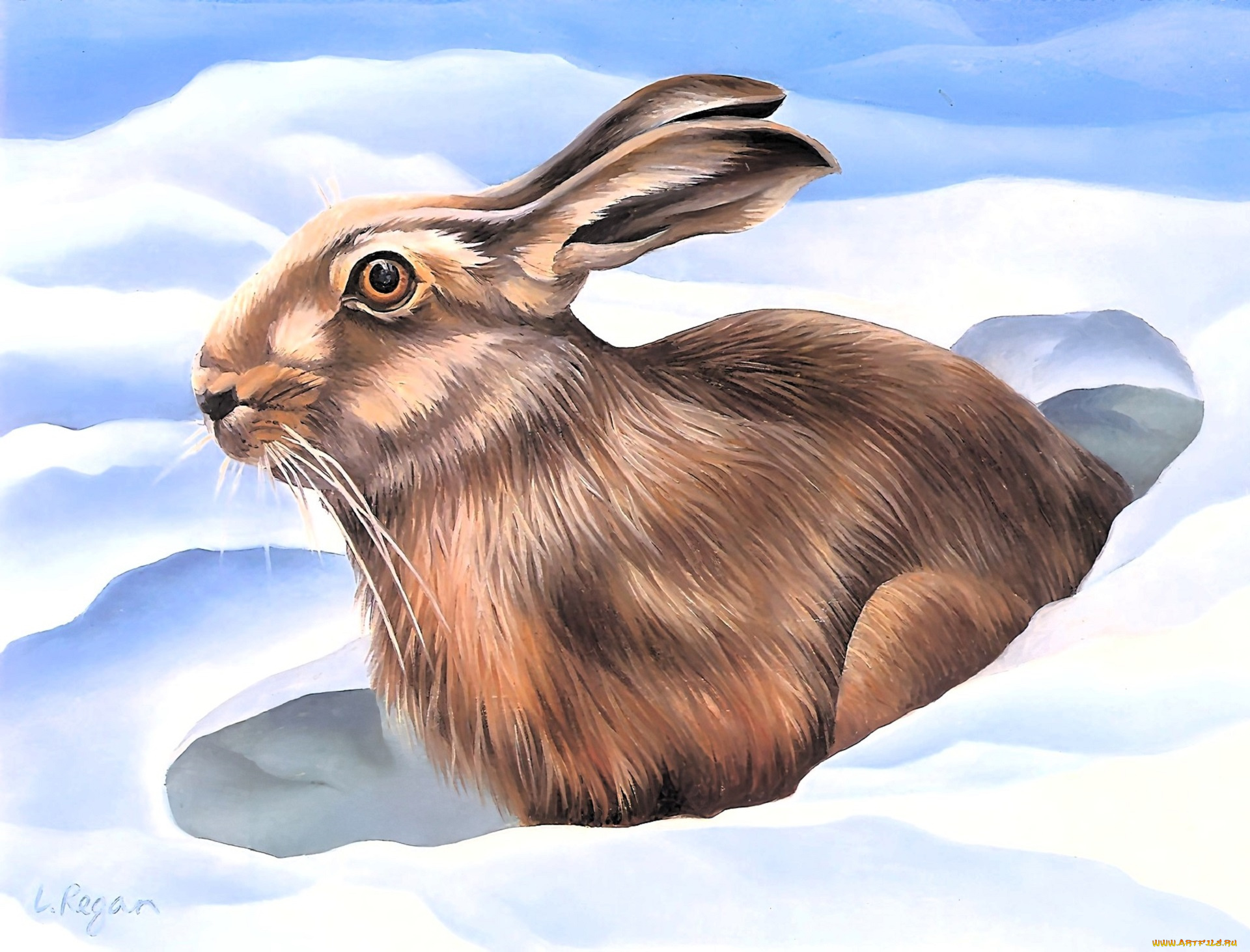 рисованное, животные, , зайцы, , кролики, заяц, снег