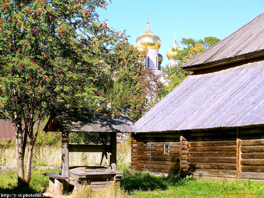 кострома, музей, деревянного, зодчества, лето, города, другое