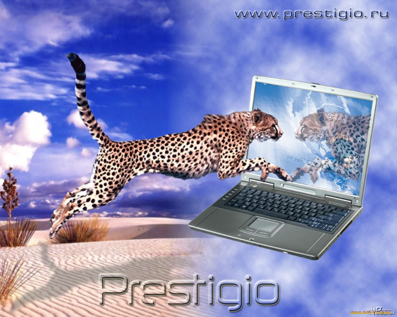 компьютеры, prestigio